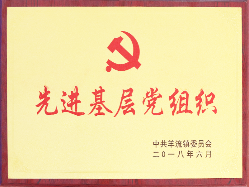 先進(jìn)基層黨組織